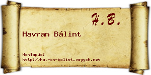 Havran Bálint névjegykártya